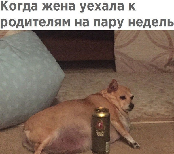 угарные фоточки