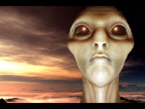 Interview with a Stranded Alien