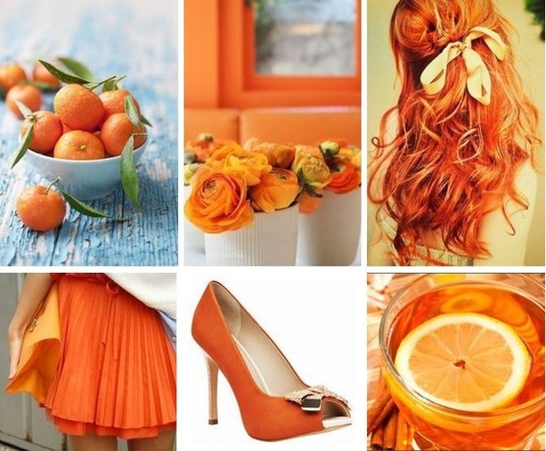 девушка с мандаринами. мандарины туфли. мандарины туфли. стена из мандаринов. мандарины турция сорта.