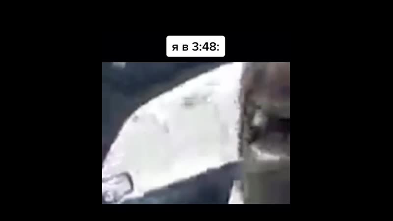 Артём дебил игнорщик