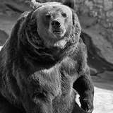 ВКонтакте: Лёша Туранов - профиль, анонимный анализ