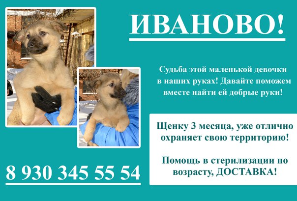Добро Иваново Магазин
