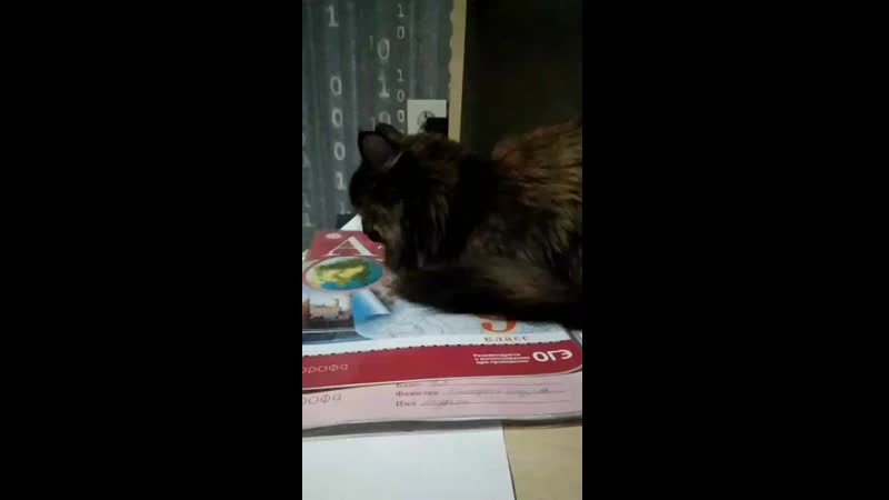 VID_20191210_180415.mp4