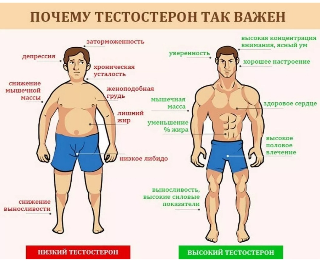 Комментарии пользователя K0rnel на форуме акций / sMart-lab.ru - блоги трейдеров
